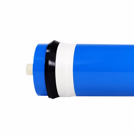  Улучшите почки, улучшите жизненный тонус чая.  Мужчины и женщины повышают мощность чая без побочных эффектов